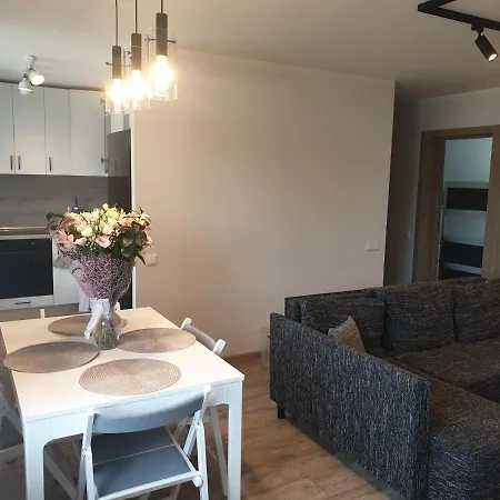 Apartament Spacious In *
